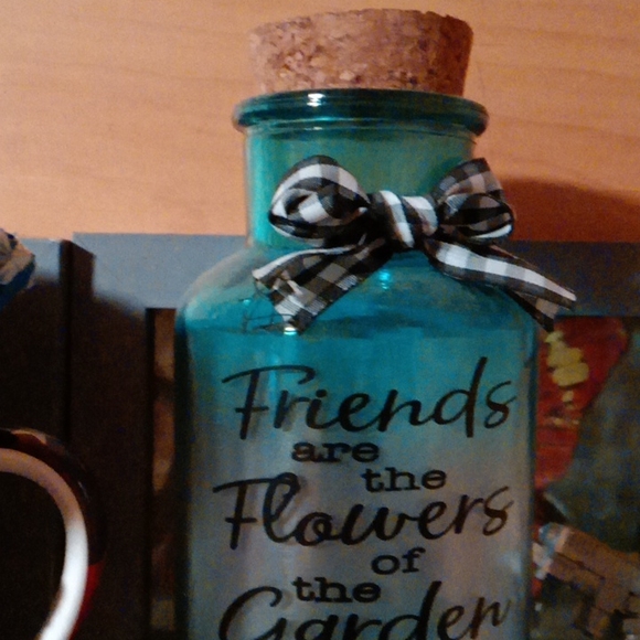 Friends Are The Flowers Of The Garden Quote Cute Light Up Blue Jar With Cork Lid - Picture 2 of 3